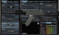 Wolf Team