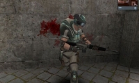 Wolf Team