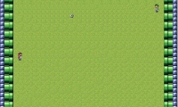 Mario & Luigi Football