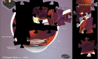 Eye Jigsaw