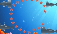 Star Fish