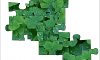 Jigsaw: clover