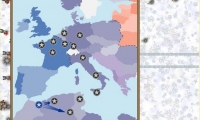 Endless War Defense