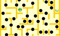 Black Holes