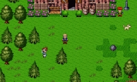 Final Fantasy VII: The Dark Cloud