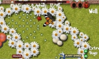 Bug Off