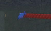 Snake & Fish