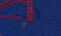 Snake & Fish