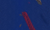 Snake & Fish