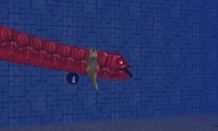 Snake & Fish