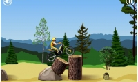 Stunt Dirt Bike