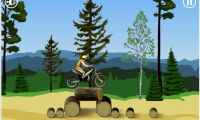 Stunt Dirt Bike