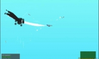 The Dumb Hijacker 2