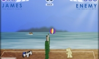 James the Beach Zebra