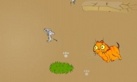 Alexs cat 