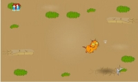 Alexs cat 