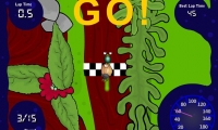 The Fastest Snail