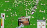 Virtual Lawn Hunter
