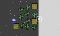 Cactus Block 