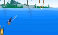 Dolphin show