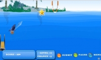 Dolphin show