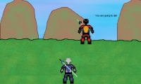 Project Ninja