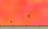 Project Ninja