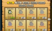 Ranch Town