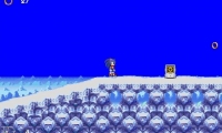 Sonic Death Zone