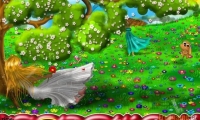Dream Garden 