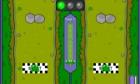 Frog Race