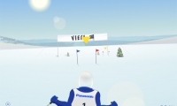 Olympic Ski