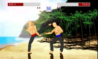 Pencak Silat!