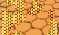 HexSweeper