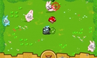 Bunny Bounty