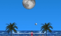 Beach Volleyball Lite