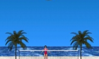 Beach Volleyball Lite