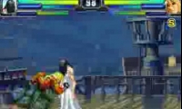Ultimate Fight