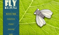 Fly Trap