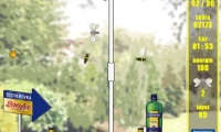 Fly Trap
