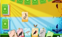 Bird Pax