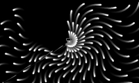 Crazy Patterns
