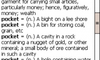 Pocket Dictionary