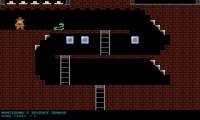 Montezuma’s Revenge