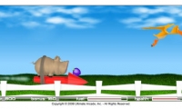 Pig on the Rocket
