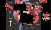 Heart Jigsaw