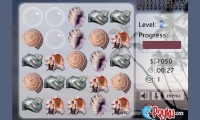 Bubble Shells