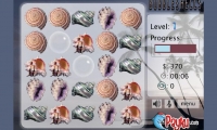 Bubble Shells