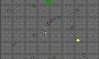 Snake Evade