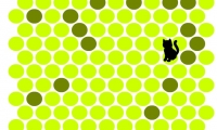 Chat Noir